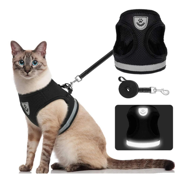 Escape-proof cat harness & leash set for secure outdoor walks. Adjustable, comfortable pet safety gear.