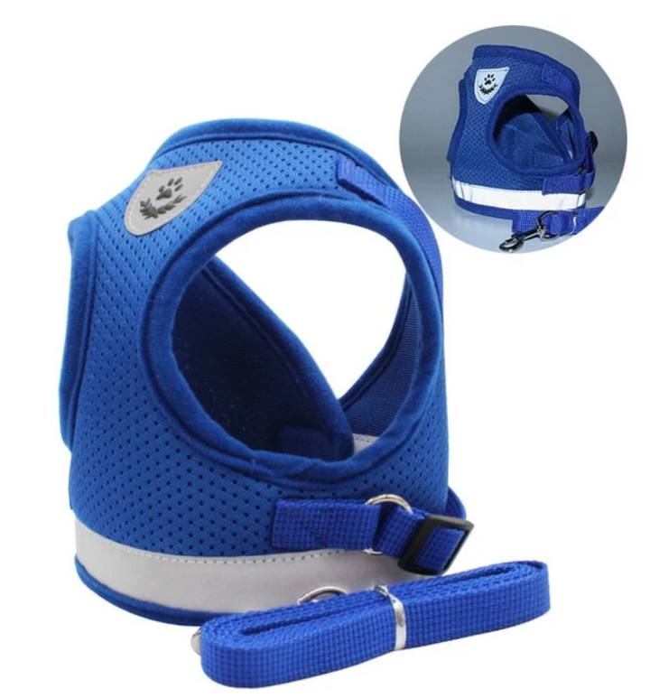 Premium cat harness & leash set for safe outdoor exploration. Escape-proof & comfortable for active felines.