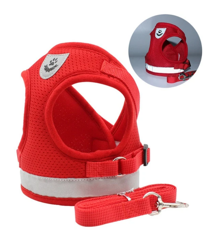 Breathable escape-proof cat harness with leash. Perfect for daily walks and training your feline friend.