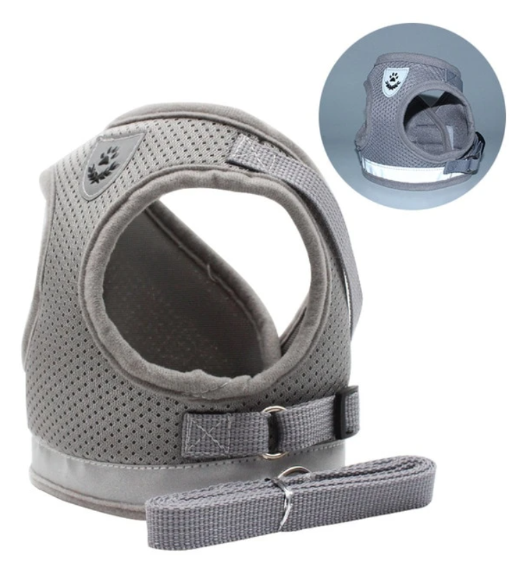 Reflective, adjustable cat harness & leash set for night walks. Escape-proof design ensures pet safety.