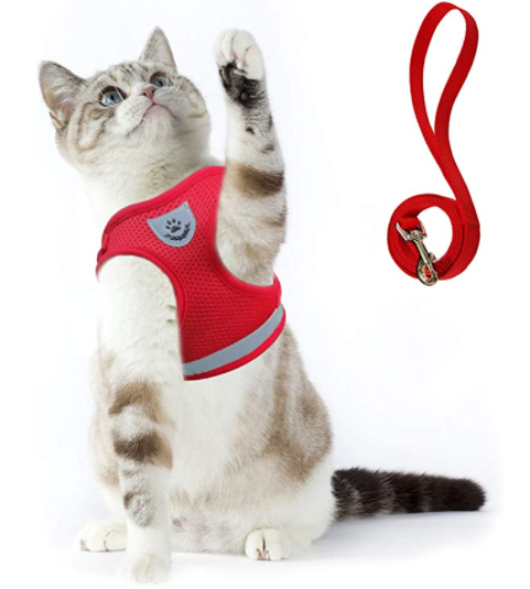 Cat's outdoor adventure harness and leash. Escape-proof, comfortable, and secure for exploring nature.