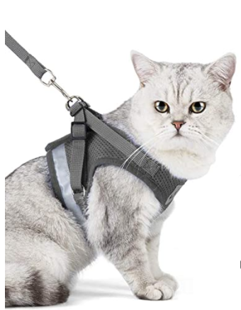 Training cat harness with matching leash. Escape-proof design helps teach safe outdoor walking habits.
