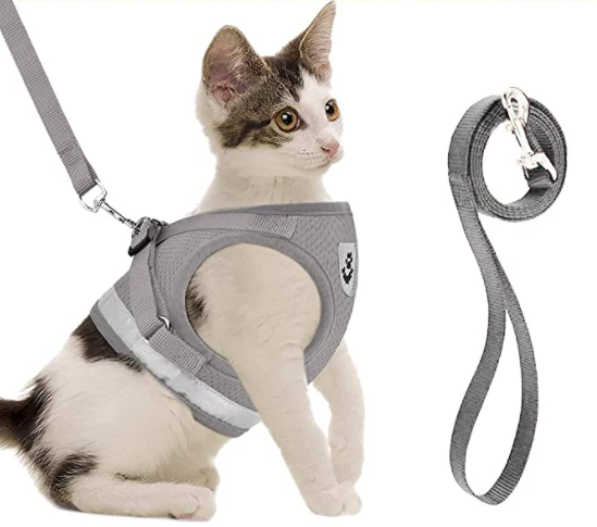 Pet accessories: Escape-proof cat harness & leash. Adjustable fit for ultimate comfort and safety during walks.