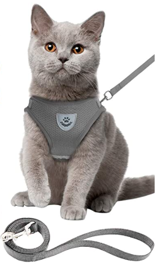 Secure cat walking harness & leash set. Escape-proof, reflective, and adjustable for safe outdoor adventures.