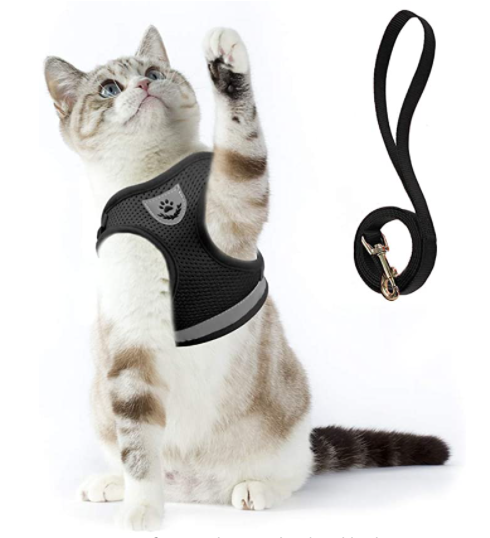 Kitten-friendly escape-proof harness and leash set. Soft, adjustable for growing felines' safety.