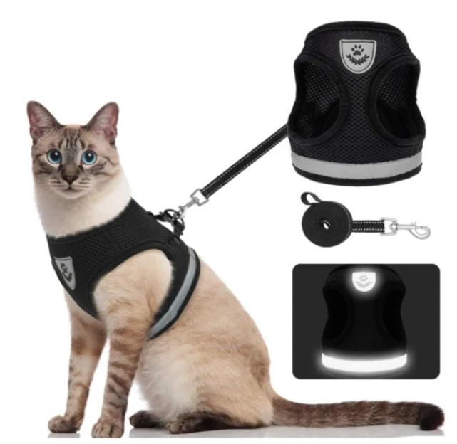 Reflective pet safety harness & leash for cats. Escape-proof design for worry-free outdoor exploration.