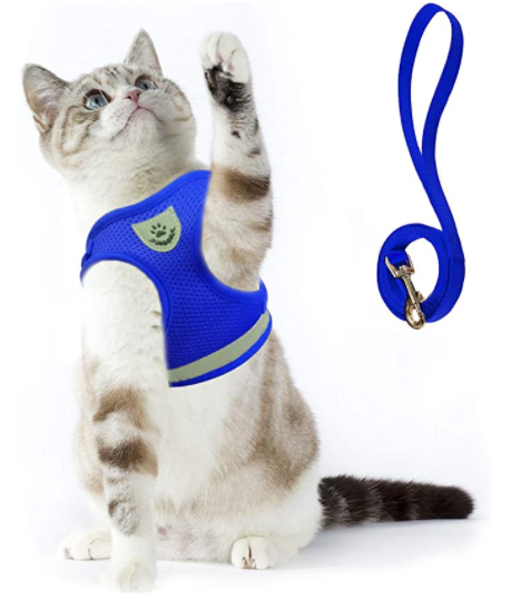Adjustable escape-proof cat harness and leash combo. Ensures secure & comfortable outdoor walks for your pet.