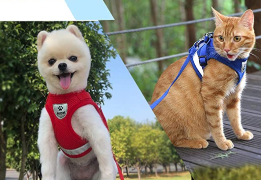 Adjustable cat harness for comfortable, secure outdoor walking. Includes matching leash for pet safety.