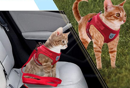 Kitten training harness & leash set. Escape-proof design ensures safe first walks for young cats.