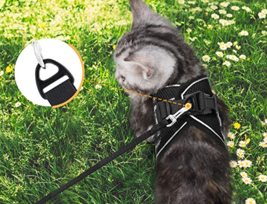 Durable cat harness and leash combo for active outdoor cats. Adjustable & escape-proof for safety.