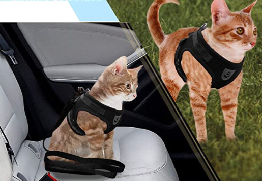 Comfortable escape-proof cat harness with reflective strips. Ideal for safe outdoor walks & training.