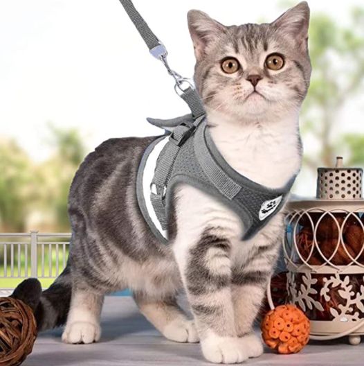 Pet safety cat harness and leash set. Adjustable, breathable, and escape-proof for secure outdoor adventures.