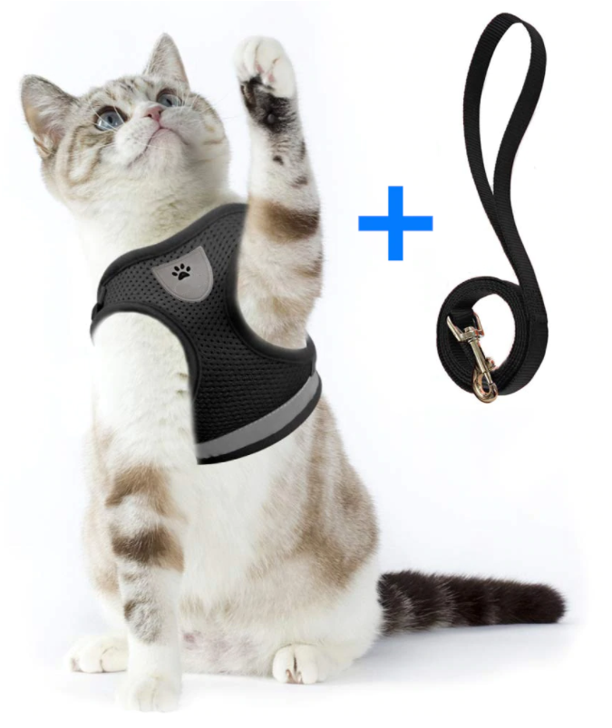 Secure outdoor cat harness & leash set for all sizes. Reflective material for visibility and safety.