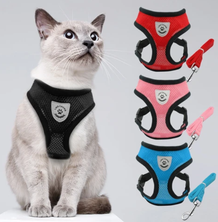 Lightweight adjustable cat harness & leash. Escape-proof design for enjoyable and safe pet walks.