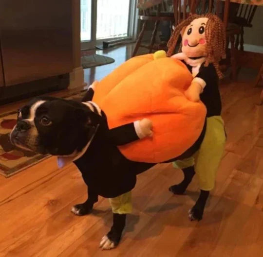 Funny dog pumpkin Halloween costume with 3D design, adjustable fit, and plush figure for small to medium dogs.