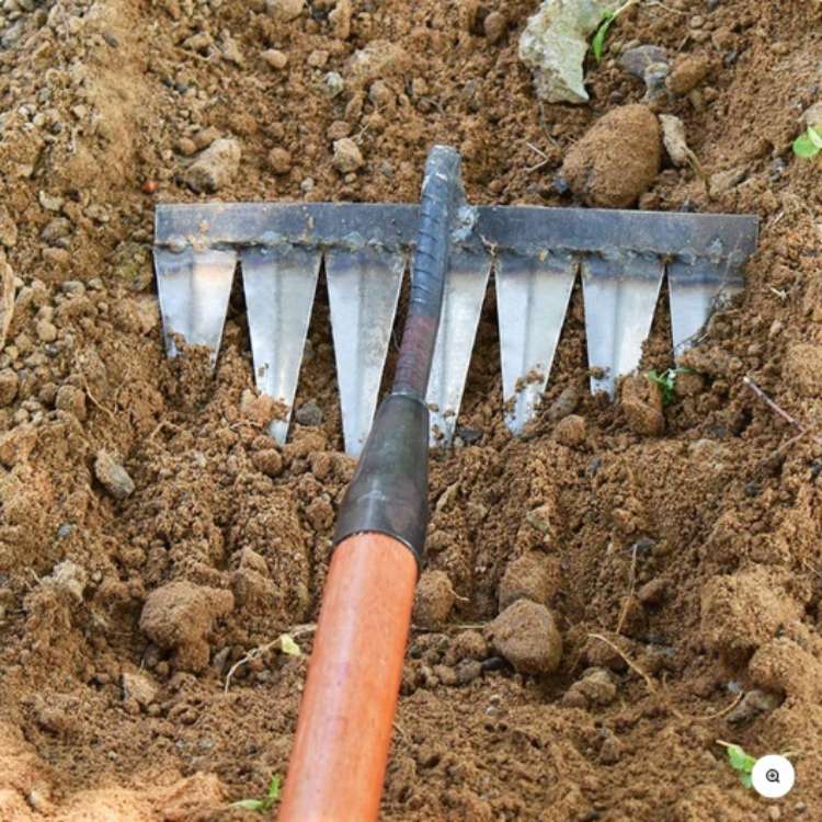 Heavy-duty steel garden rake with V-shaped tines for effortless weeding, featuring ergonomic design and durable construction.