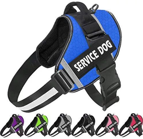 Personalised No-Pull Reflective Dog Harness for Safe Walks