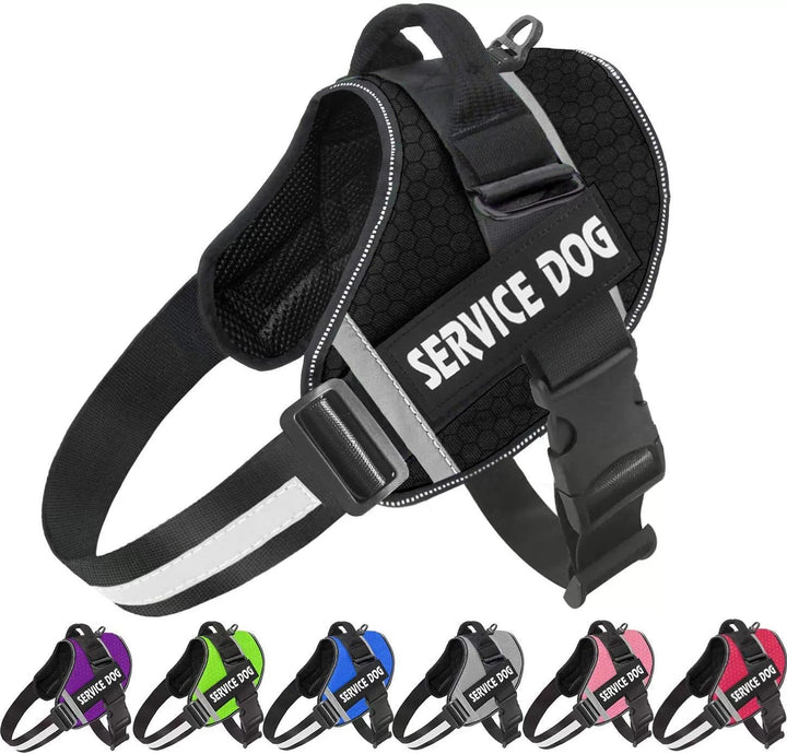 Personalised No-Pull Reflective Dog Harness for Safe Walks