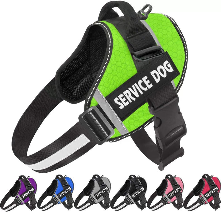 Personalised No-Pull Reflective Dog Harness for Safe Walks