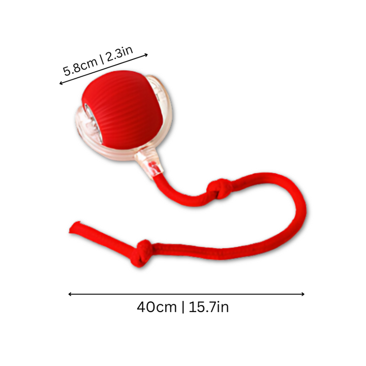 "Interactive cat toy with smooth curves, bright primary colors, USB-C port for charging, enhancing indoor cat play."