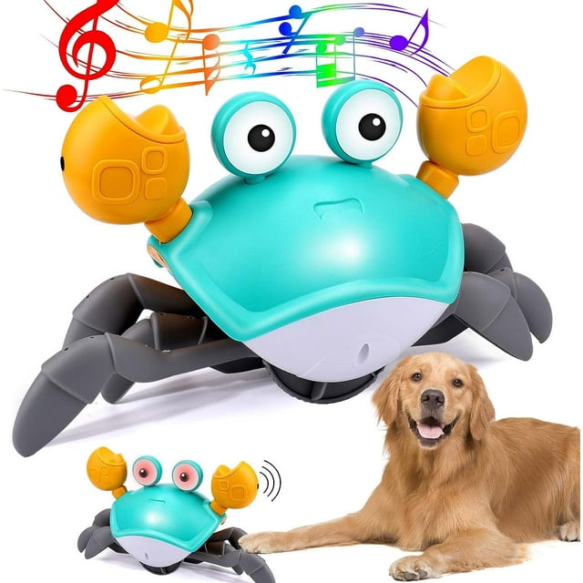 Interactive dancing crab toy for dogs with vibrant colors, glowing eyes, and musical features to engage pets in active play.