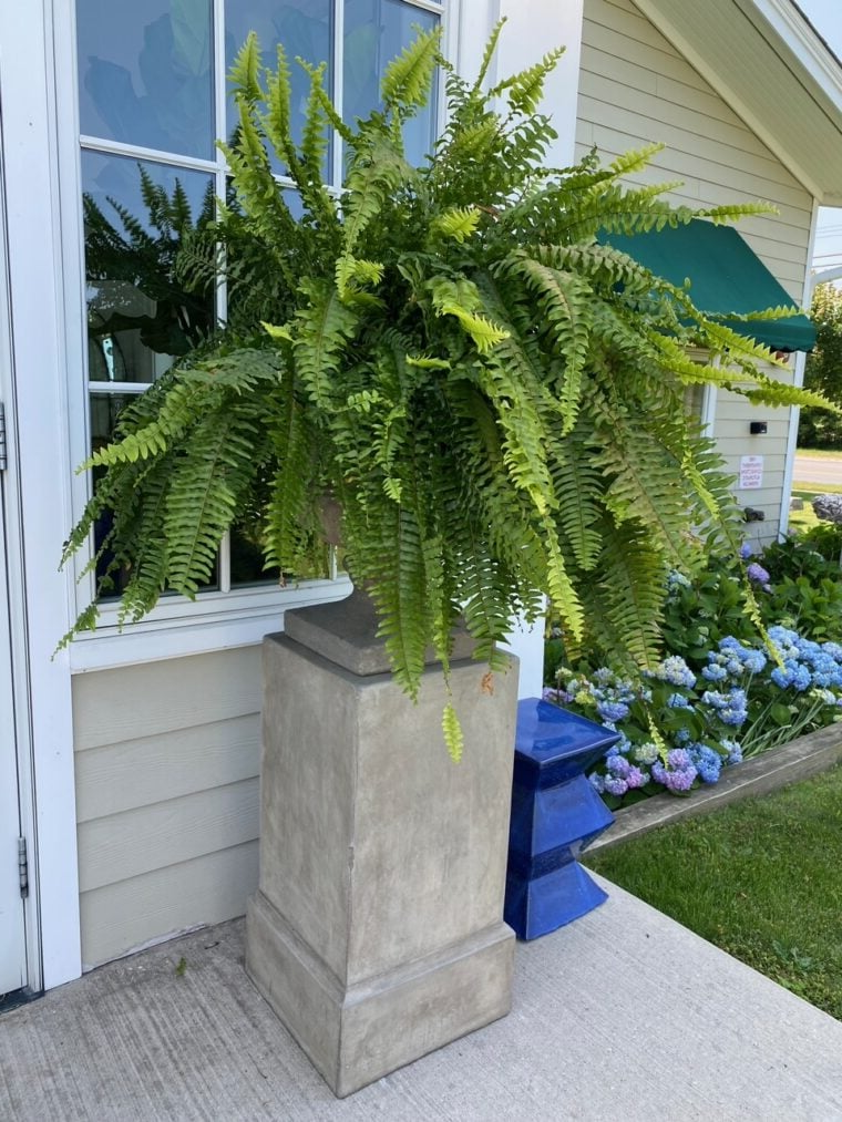 Lifelike, vibrant artificial Boston fern, UV-resistant, 18 lush branches, perfect for outdoor decor, low maintenance garden p