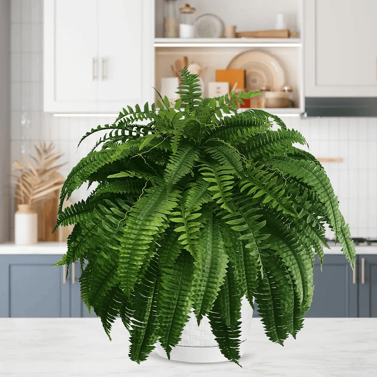 Lifelike, vibrant artificial Boston fern, UV-resistant, 18 lush branches, perfect for outdoor decor, low maintenance garden p