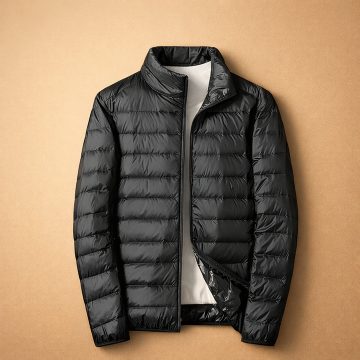 Men's outerwear: a sleek, lightweight quilted zip jacket with a stylish stand collar.