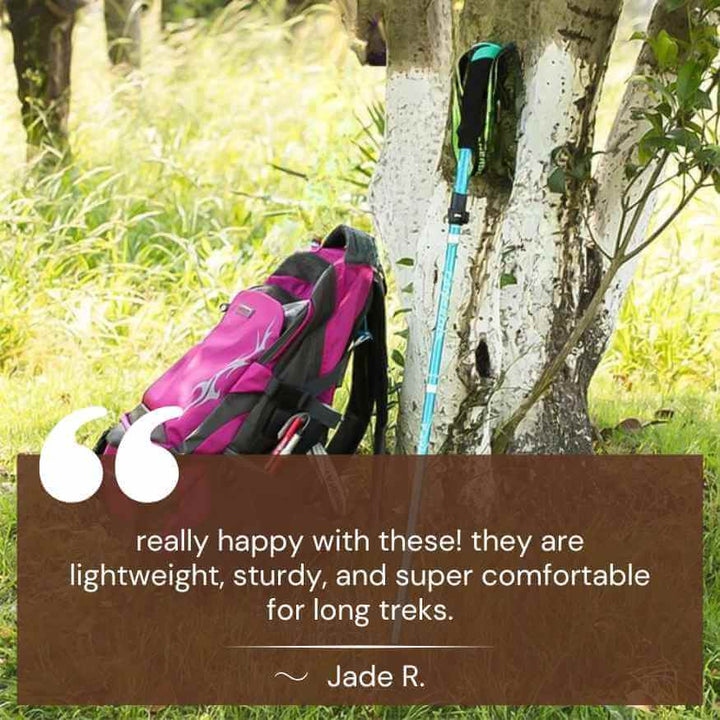 Men's ergonomic aluminum trekking poles with anti-slip grips and adjustable length, ideal for hiking on all terrains.