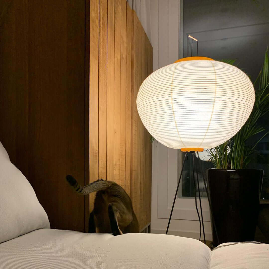 "Minimalist rice paper floor lamp with sleek metal frame and soft diffused light, perfect for creating a warm ambiance."