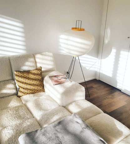 "Minimalist rice paper floor lamp with sleek metal frame and soft diffused light, perfect for creating a warm ambiance."