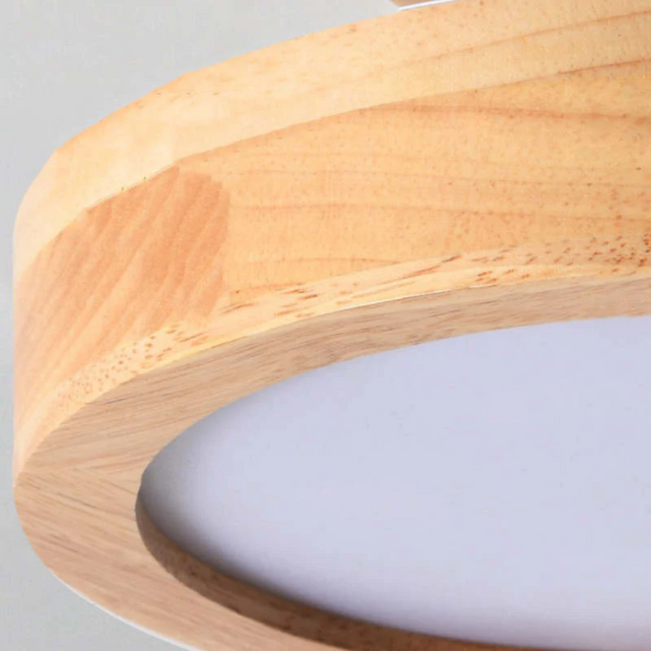 Contemporary round LED ceiling fixture, perfect ambient lighting for elegant dining room decor.