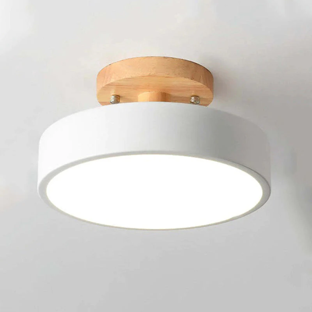Round LED ceiling light with adjustable ambiance, perfect for modern home living room lighting.