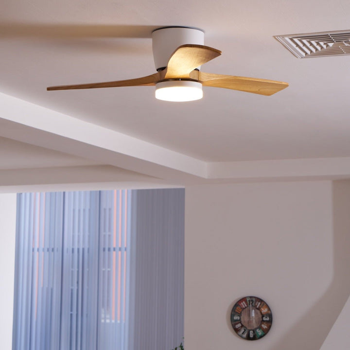 "Nordic Wooden Ceiling Fan Light with sycamore blades and LED, remote-operated for modern home decor."
