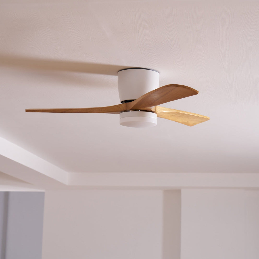 "Nordic Wooden Ceiling Fan Light with sycamore blades and LED, remote-operated for modern home decor."