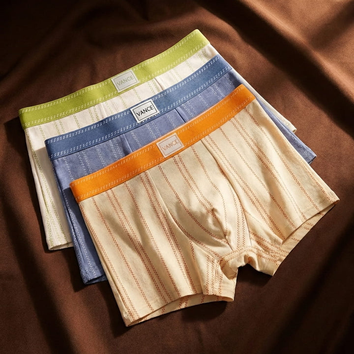 Men's organic cotton boxer briefs for all-day comfort, breathability & moisture-wicking. Eco-friendly everyday underwear.