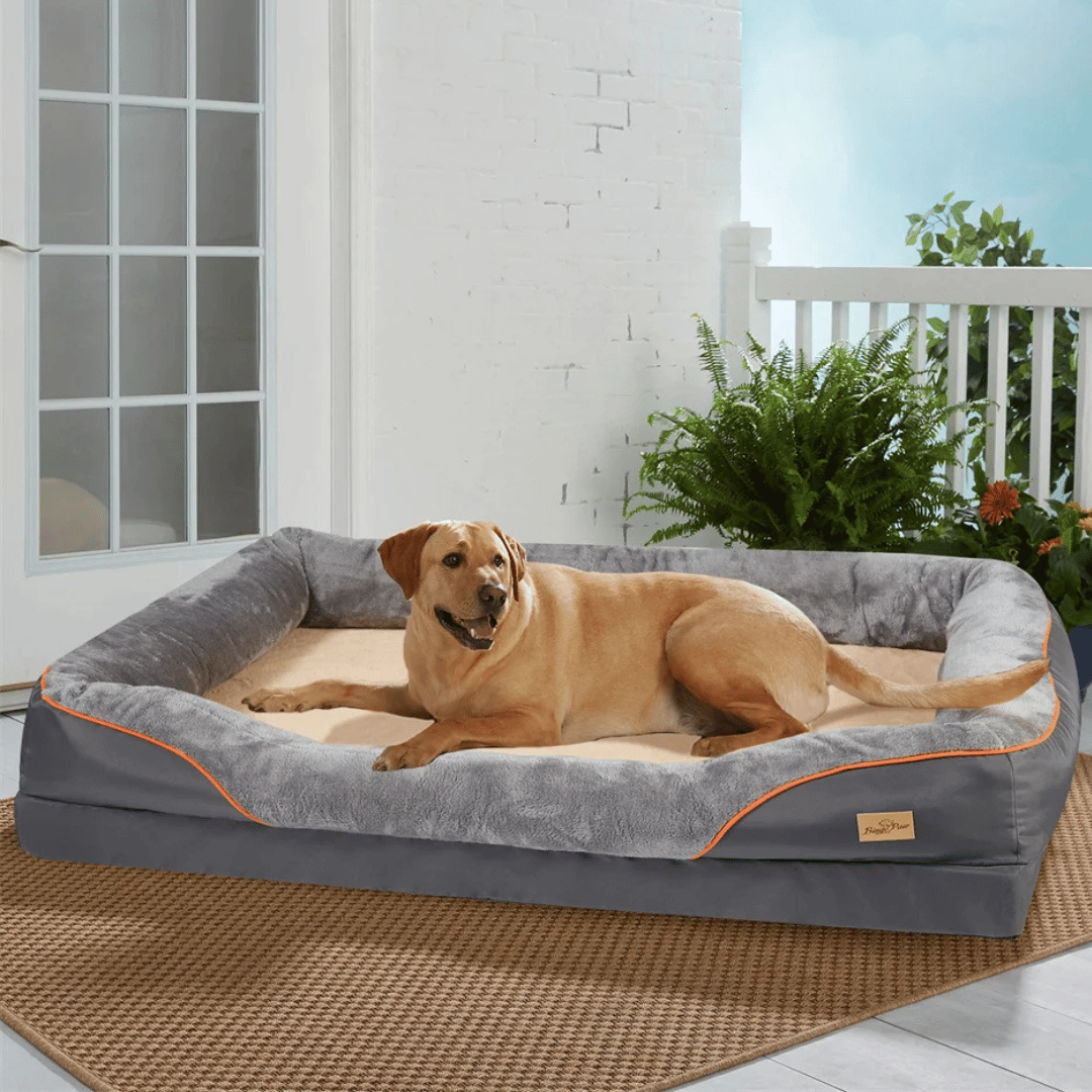 Orthopedic memory foam dog bed, large size, cushioned interior with cotton-padded bolster, perfect for large breeds.