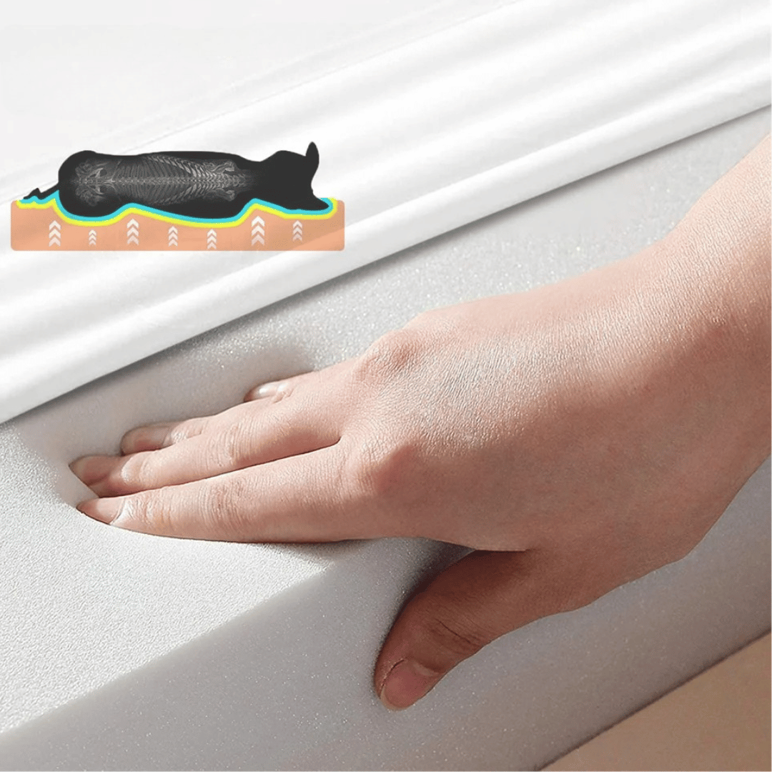 Orthopedic memory foam dog bed, large size, cushioned interior with cotton-padded bolster, perfect for large breeds.