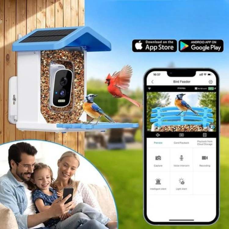 "Outdoor smart solar camera bird feeder with HD video, green roof, and transparent sides, showing bird feed inside."