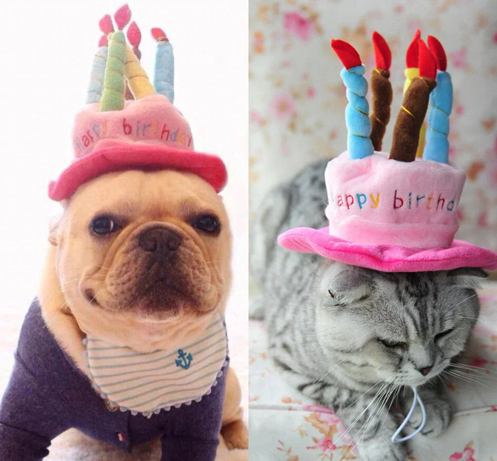 "Pet birthday cake hat for cats and small dogs with colorful candles in soft fleece, festive design for celebrations"