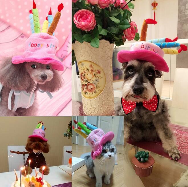 "Pet birthday cake hat for cats and small dogs with colorful candles in soft fleece, festive design for celebrations"