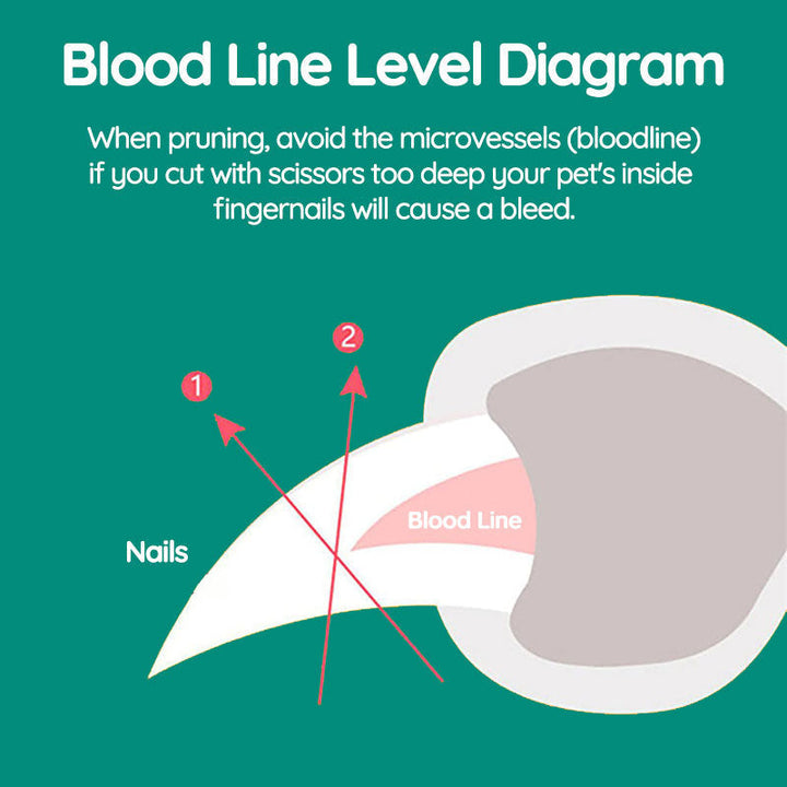 "Pet nail clipper with LED light, stainless steel blade, protective sensor for safe, precise dog and cat nail grooming."