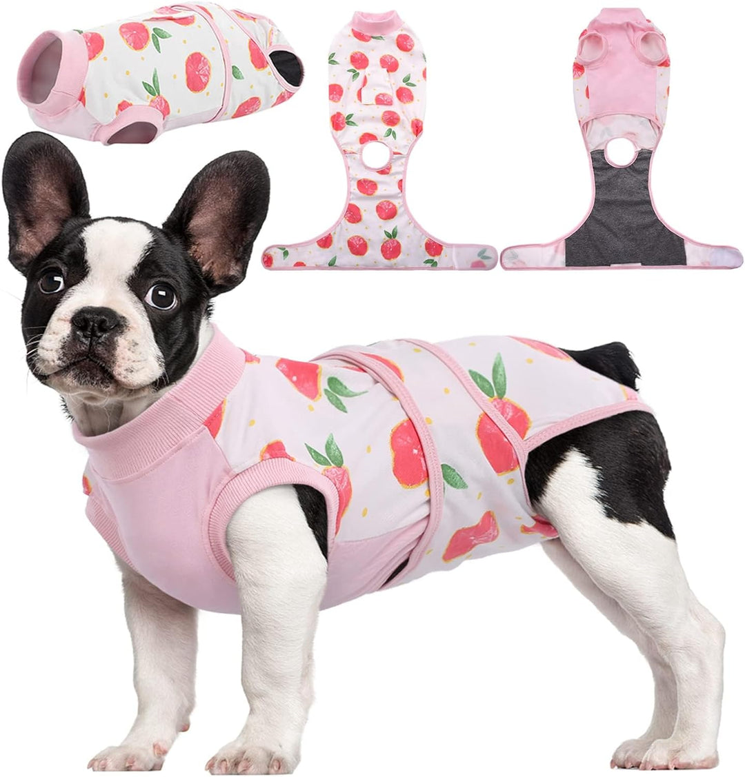 Pet recovery suit for dogs & cats, comfortable post-surgery healing garment.