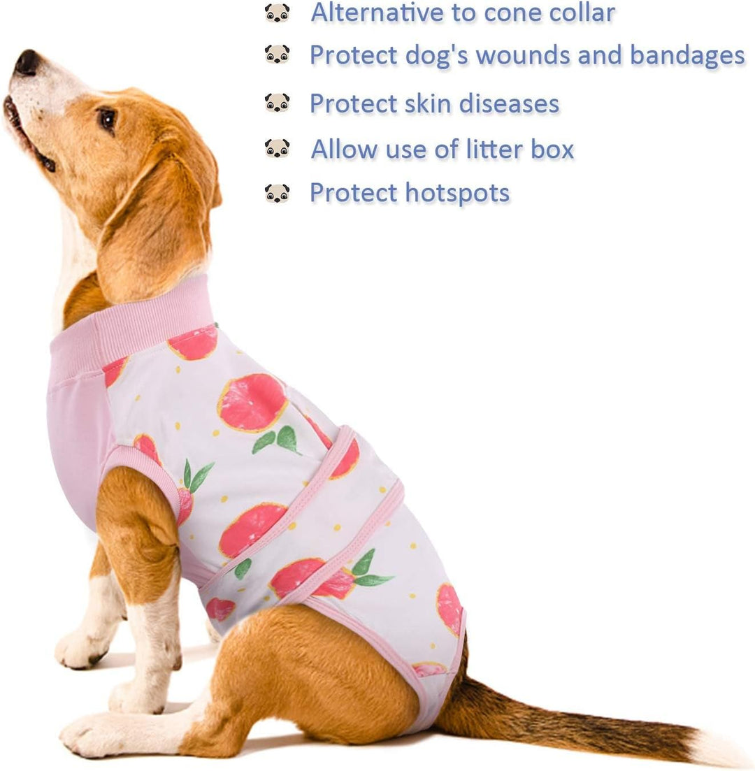 Secure anti-lick pet recovery suit, essential for post-surgery wound care & healing.