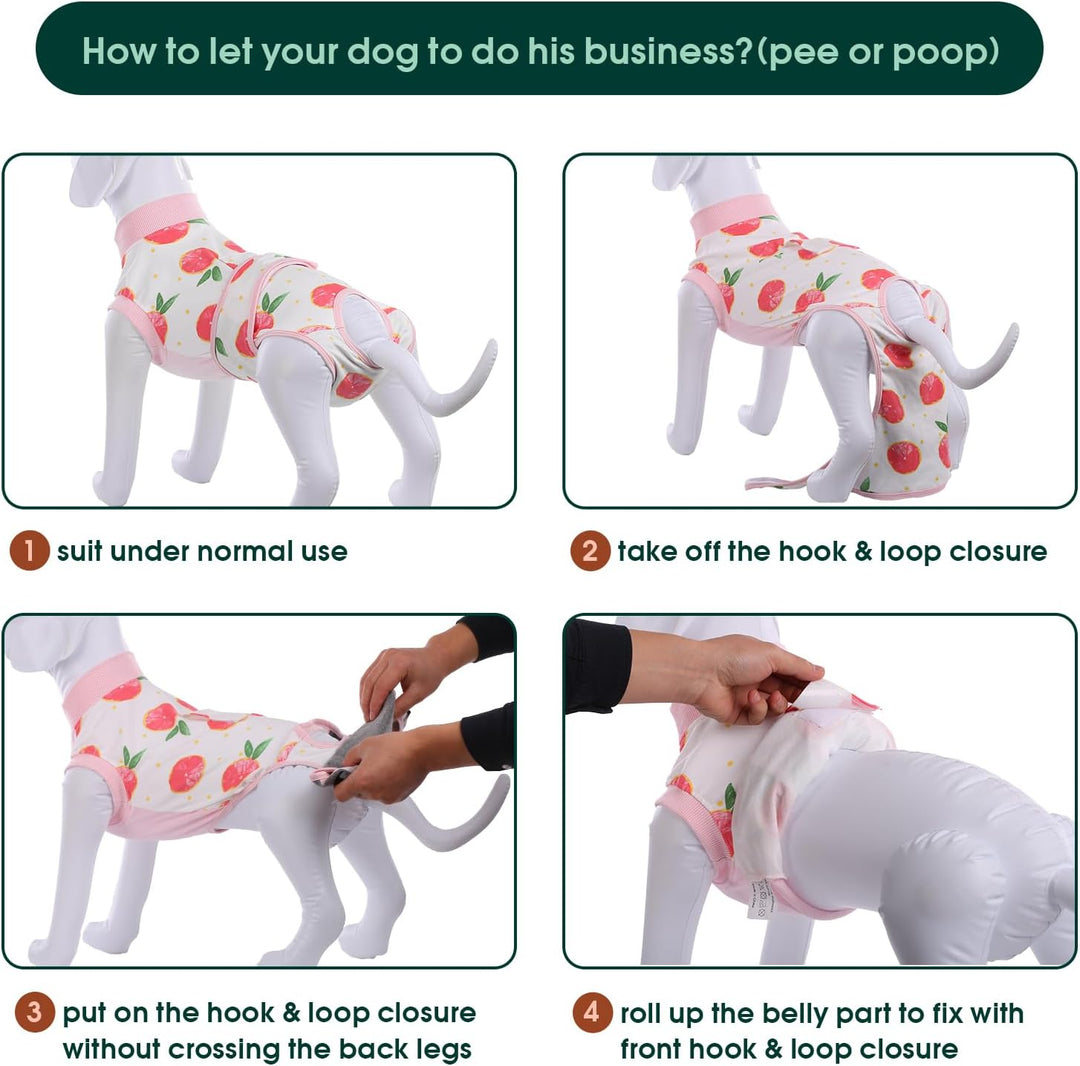 Breathable surgical recovery suit, promotes faster healing for dogs & cats.