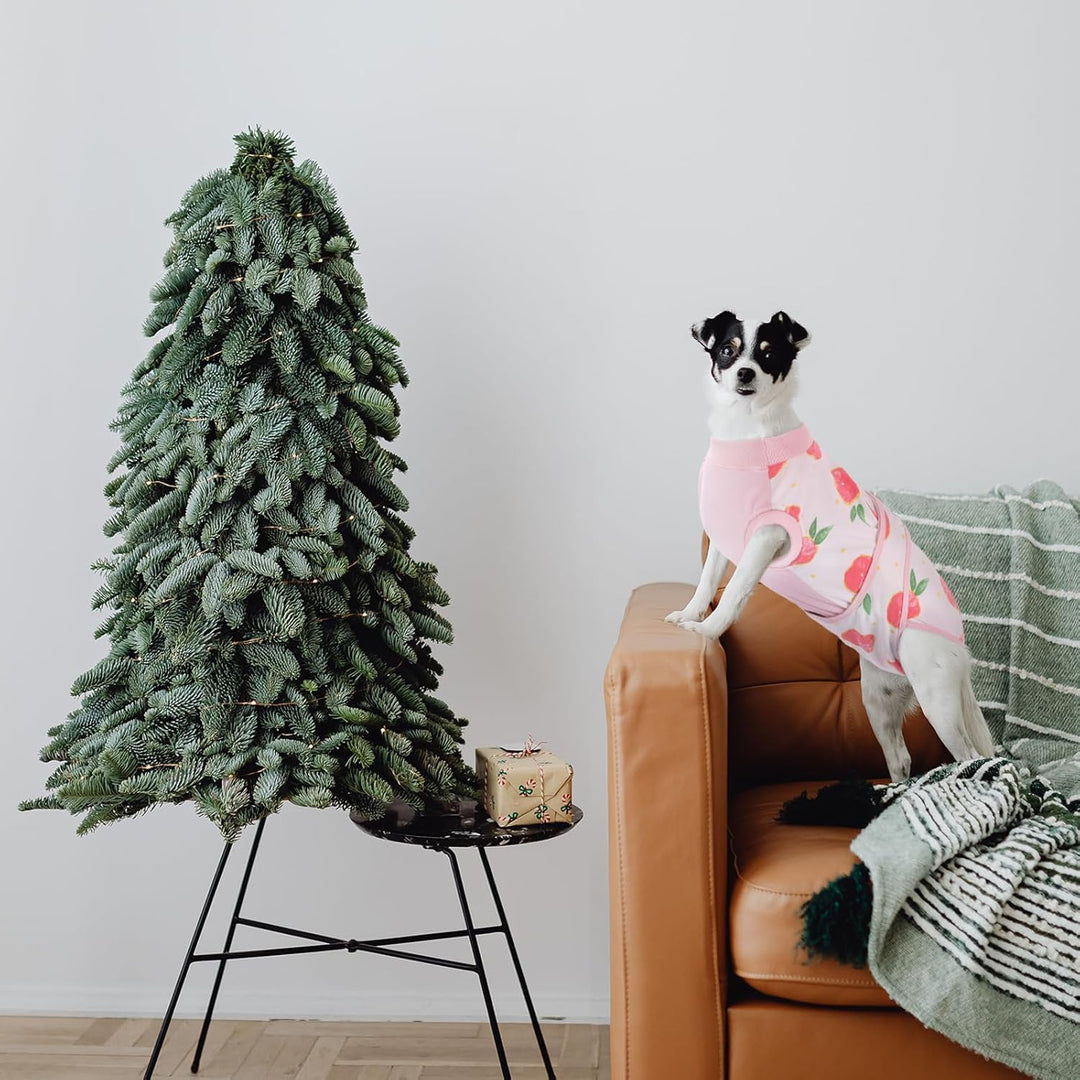 Easy-fit pet medical wear, post-surgery healing garment for ultimate pet comfort.