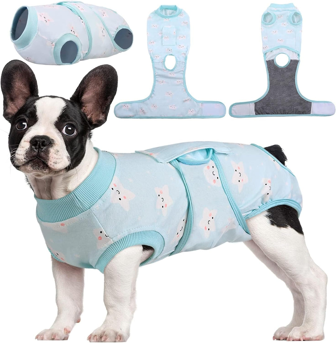 Soft dog recovery suit, anti-lick wound protection for post-surgical care.