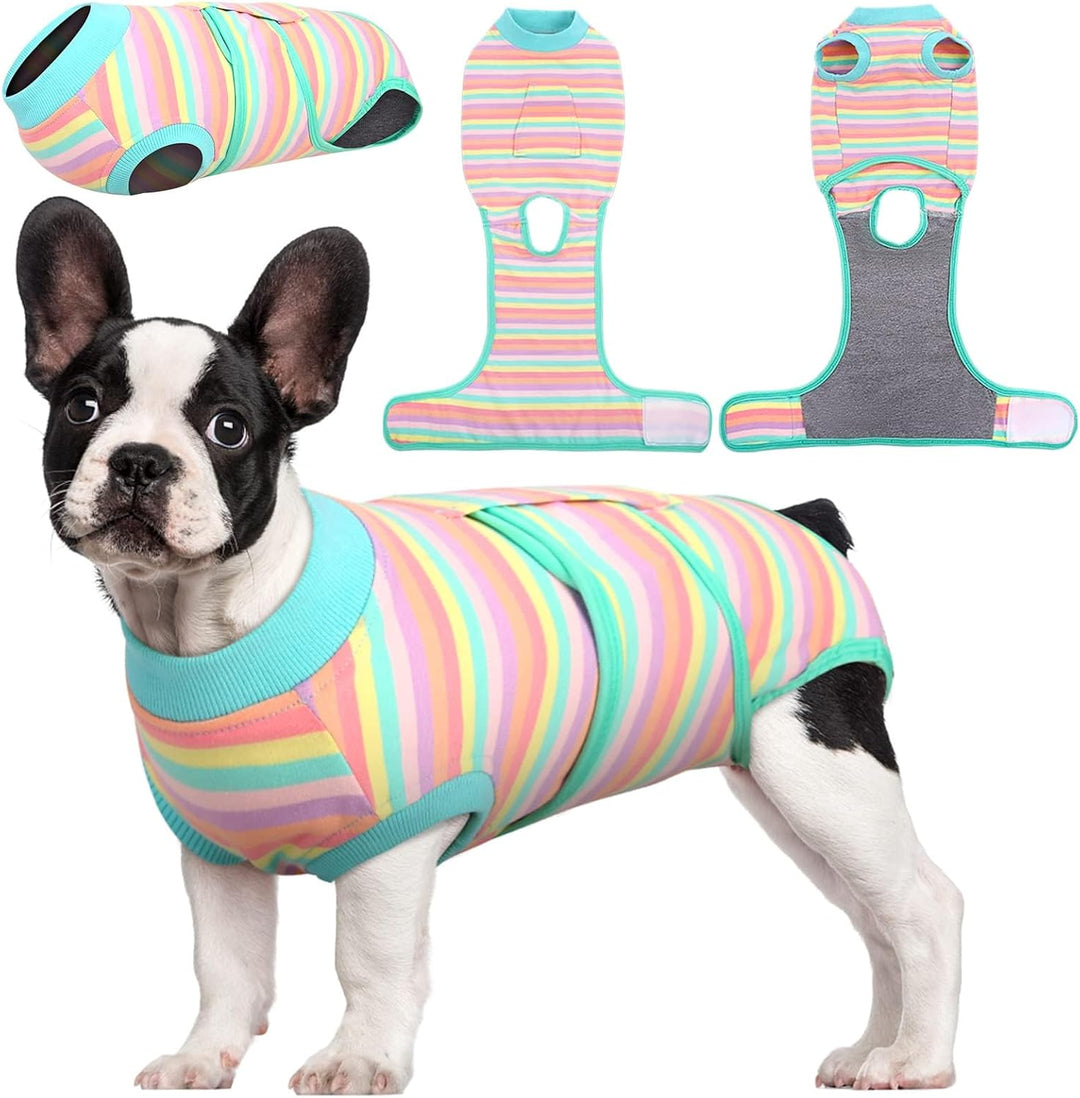 Comfy pet recovery suit, ideal for wound protection after surgery, replaces cone.