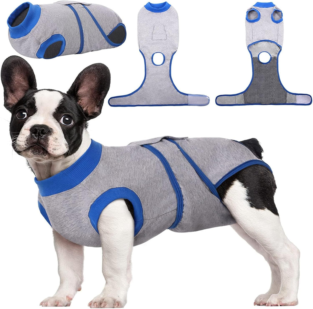 Post-surgery healing garment, anti-lick pet recovery suit for comprehensive animal care.