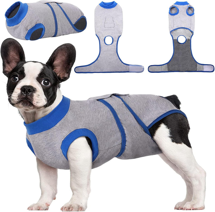 Post-surgery healing garment, anti-lick pet recovery suit for comprehensive animal care.
